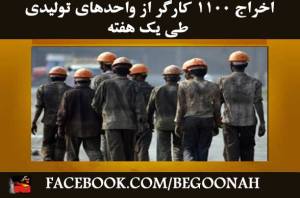 10698649_363399313820314_5910623787518846703_n