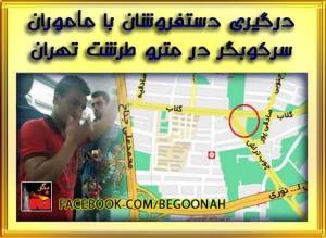 10710774_351988304961415_2291218412428994179_n