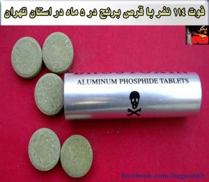 10722345_322955794554095_1908783138_o