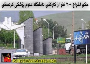 1395887_362459867247592_5701469022413463314_n