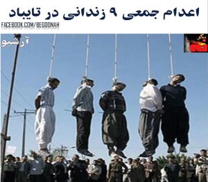 1782467_363095640517348_2589817247408218850_o