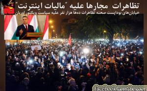 1796092_362956520531260_2828842676278650391_o