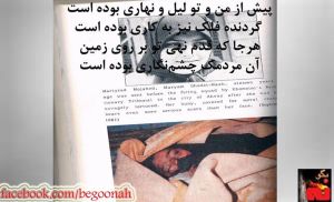 1888989_363962720430640_3627160406875772633_o