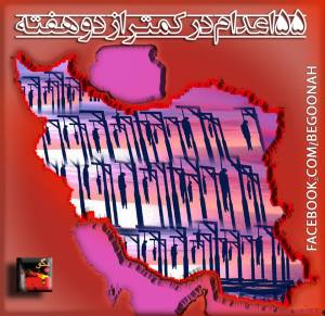 553235_363668520460060_5963104479918768128_n