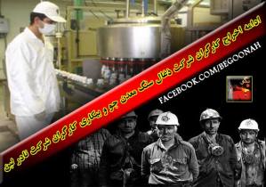 10351074_367635453396700_380921987801152066_n