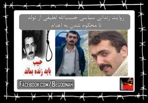 10552446_377485089078403_3077635134902778835_n