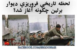 10599582_368233500003562_659587878536015338_n