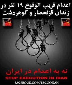 10689913_375925962567649_8571810214797422732_n