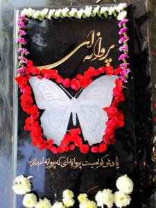 1380494_364635173696728_7455533283643830623_n