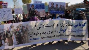 1459890_364853147008264_6251165971583033860_n