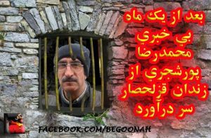 1551749_364959856997593_746210429910858251_n