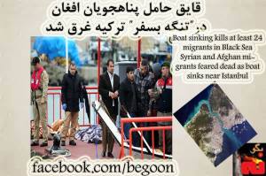 1609970_365522966941282_3659854684006423917_n