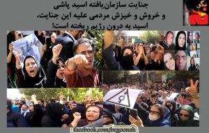 988404_365561090270803_1826256742614927027_n