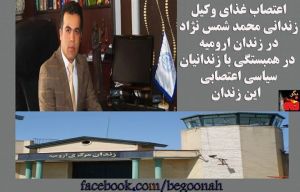 10013525_383013325192246_6087195004563814875_n