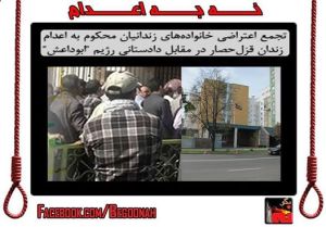 10359320_379378602222385_4190932625135910382_n