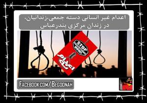 10386399_378977042262541_308211018134414757_n