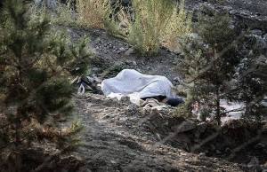 10404382_381719928654919_7305142794879253801_n