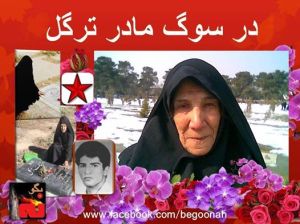 10464125_385625294931049_8015596551017222861_n