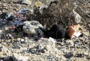 10489934_381719115321667_4336018223305751836_n