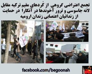 10838272_388000181360227_5001303794795783751_o