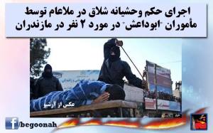 10846326_387010051459240_2724396872729962517_n