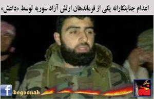 10850088_387166971443548_6830630412801756767_n