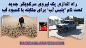 1509118_378527135640865_7923567466481122821_n