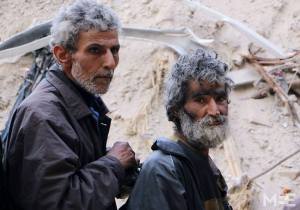 1535751_387281274765451_814893236678823212_n