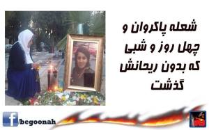 1924404_379752192185026_8804020985752771785_n