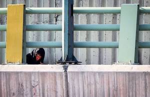 20700_381719558654956_5061347288931190693_n