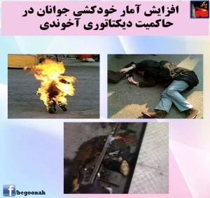 10414428_407233832770195_6974604240225162391_n