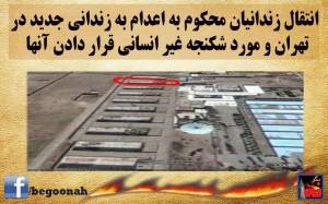 10424253_395360200624225_8344455027106071305_n