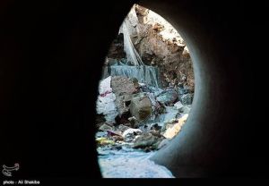 10610600_403372459822999_3566740488661177134_n