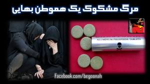 10887083_396657923827786_1471936013070606394_o