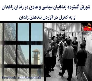 10900131_395373673956211_7520826082702494692_o