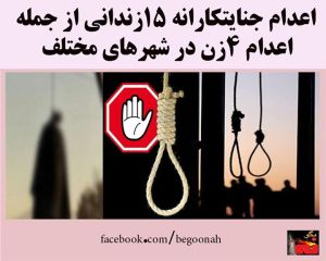 10906199_395250817301830_7138993354551190124_n