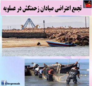 10933787_405175239642721_7225139322314092088_n