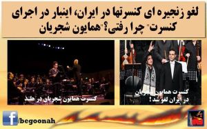 1503420_402995576527354_6396393426560219320_n