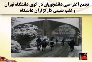 1926637_407279992765579_7076507739985793822_n