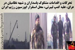 524221_403176969842548_6480309047993497607_n