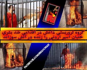 10920941_410068095820102_3259530336518255552_n