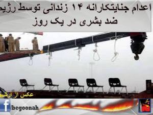 10924783_416225011871077_5045464434568260216_n