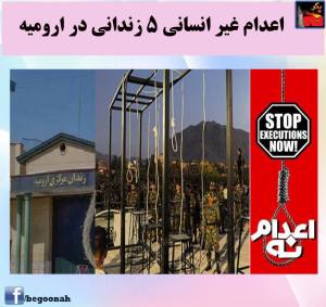 10942501_415490188611226_7741202423401382404_n