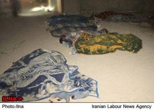 10981432_415983265228585_8386512019396312396_n