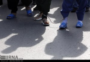 10991331_416062885220623_7581654729872564869_n