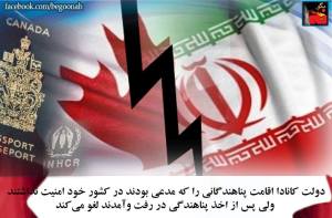 11001896_421132558046989_8489536612169825944_n