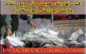 11021045_420110978149147_646220012686971675_n