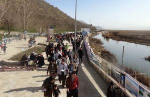 1394024_414566482036930_858981086818696645_n