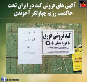 1798705_409794682514110_2810069271348874516_n