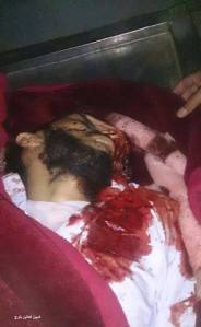 994488_410154885811423_3066929988480033123_n